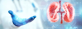 Kidney Transplant